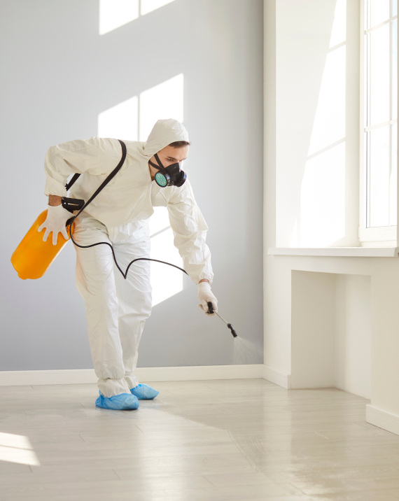 Deep Cleaning & Disinfection